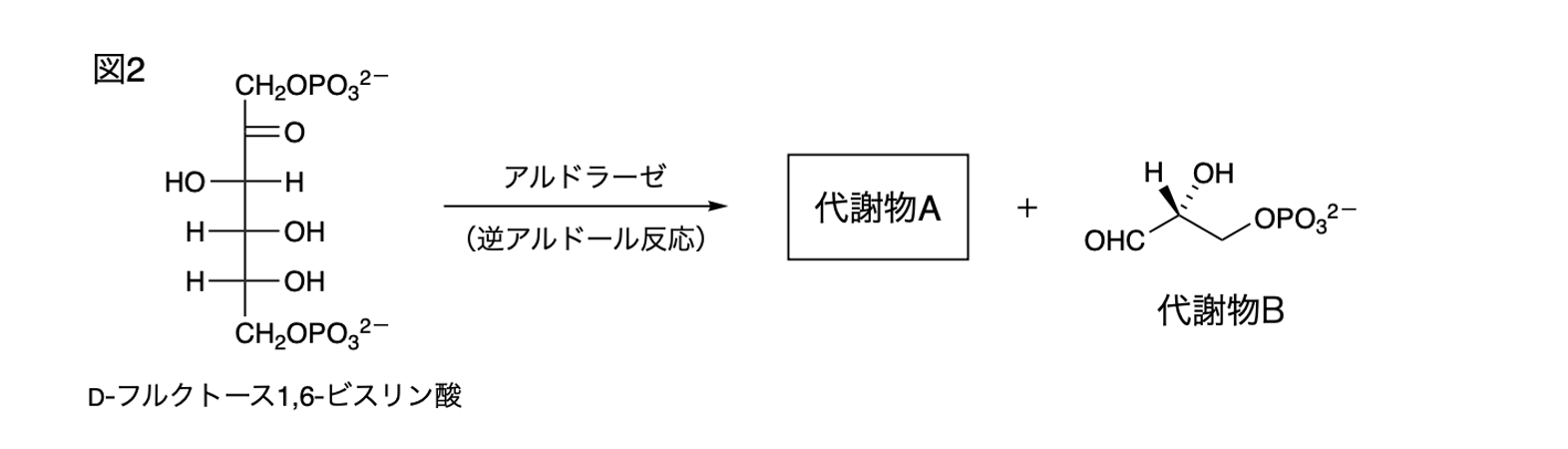 解説画像